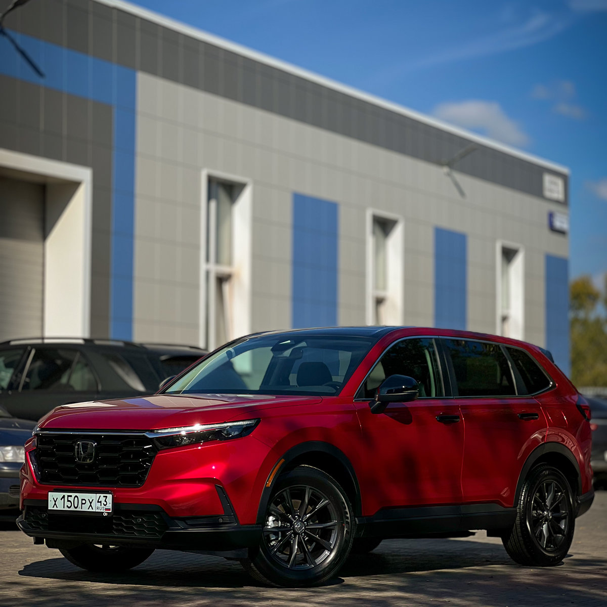 Миниатюра Антигравийная оклейка в цветной полиуретан Honda CR-V